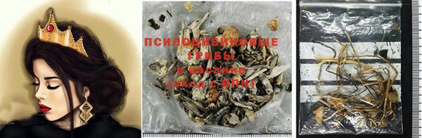 марки nbome Абаза