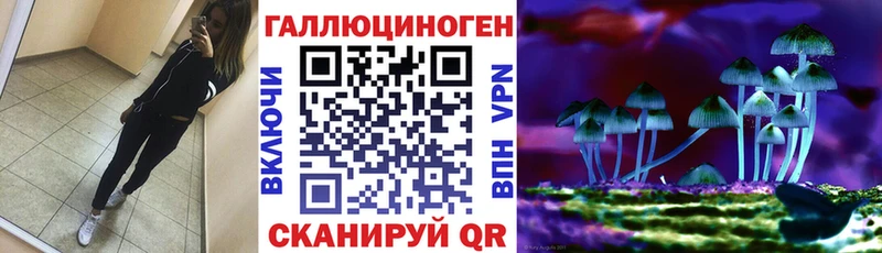 закладка Тотьма Псилоцибиновые грибы Magic Shrooms